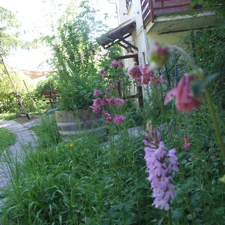 Vacanze Toscane In The Country - Agrifogli *