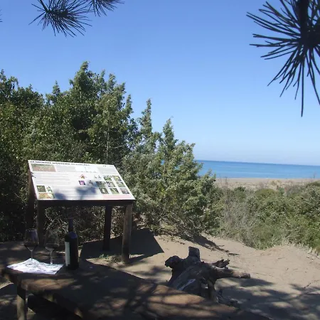 Vacanze Toscane In The Country - Agrifogli Sassetta