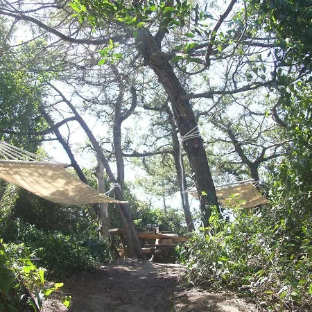 Vacanze Toscane In The Country - Agrifogli Holiday home *